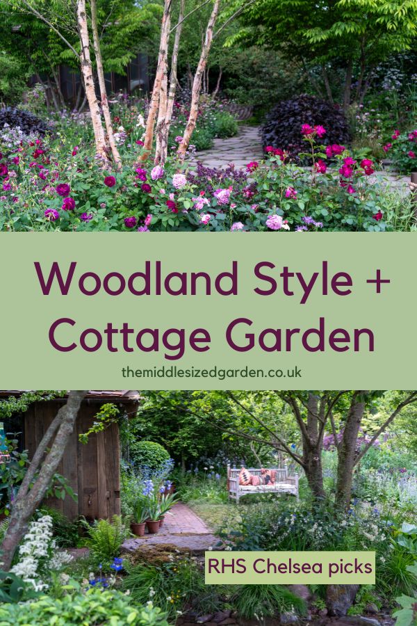 Woodland Is In! RHS Chelsea 2025 Garden Ideas You Can Use – The Middle-Sized Garden