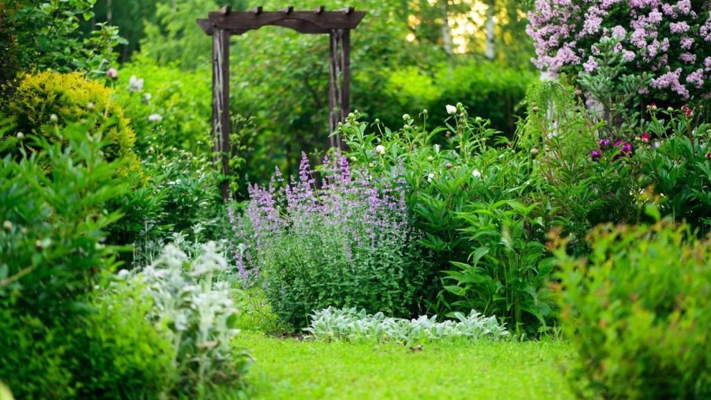 Whispers of the Wild Inside: A Soul’s Embrace with Nature’s Pulse