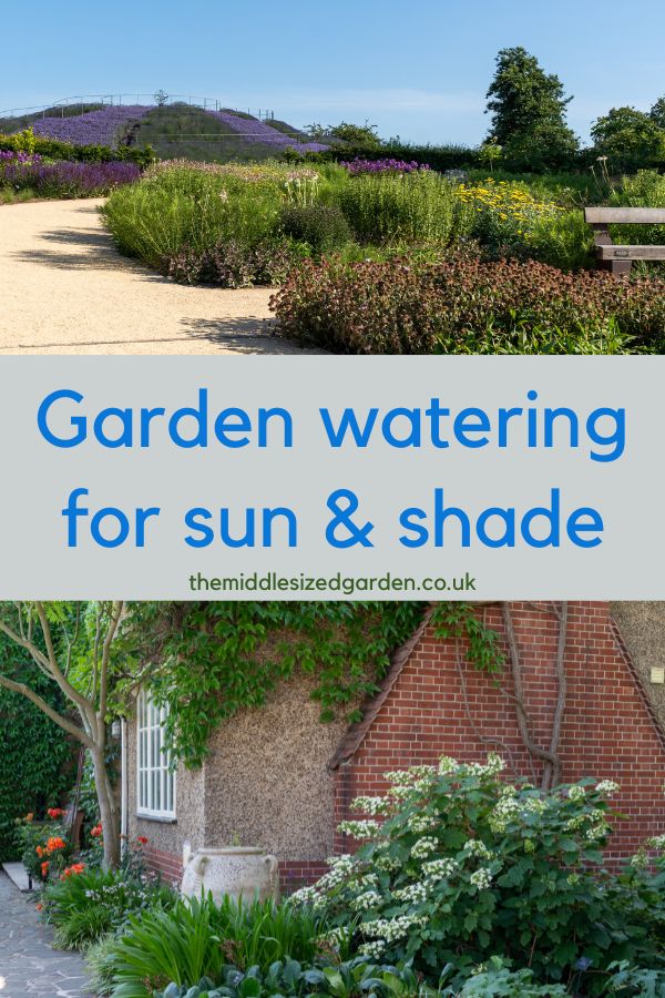 Garden Watering Strategies – How to Save Time, Effort and Money! – The Middle-Sized Garden