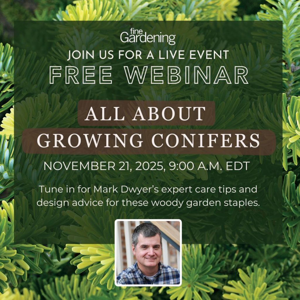 Conifers Q&A–Webinar with Mark Dwyer