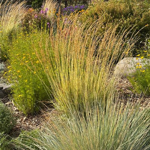 Fall in Joan’s BC Garden, Part 1