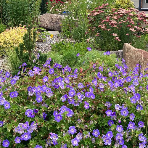 Fall in Joan’s BC Garden, Part 2