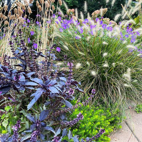 Lizzi’s Fall Garden in Walla Walla