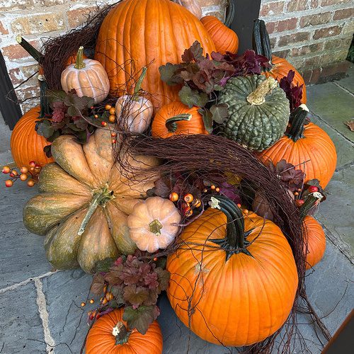Howard’s Pumpkin Displays in Chicago
