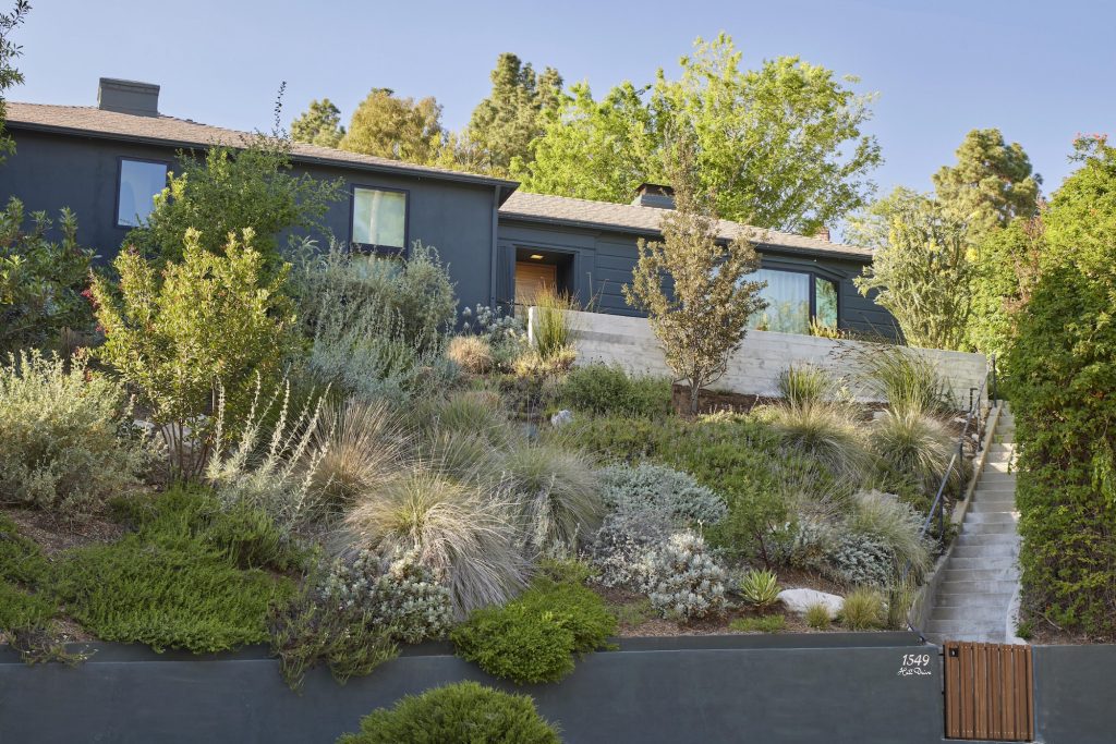 The Experts Share Design and Gardening Tips