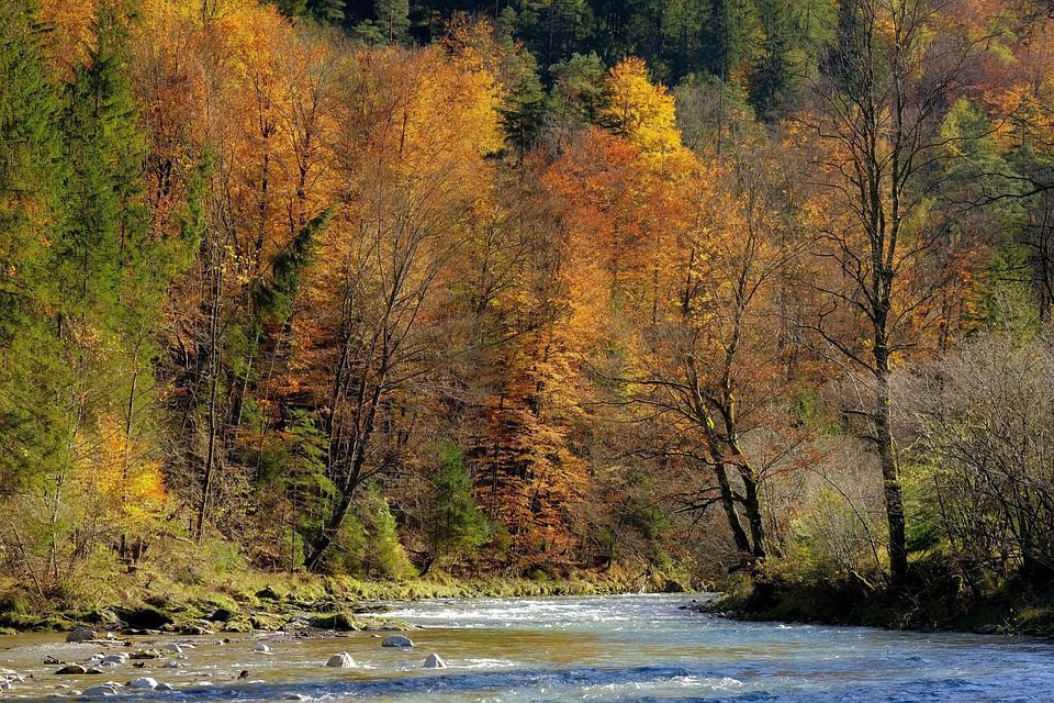 Autumn’s Gentle Descent: Cultivating Warmth Amid Change