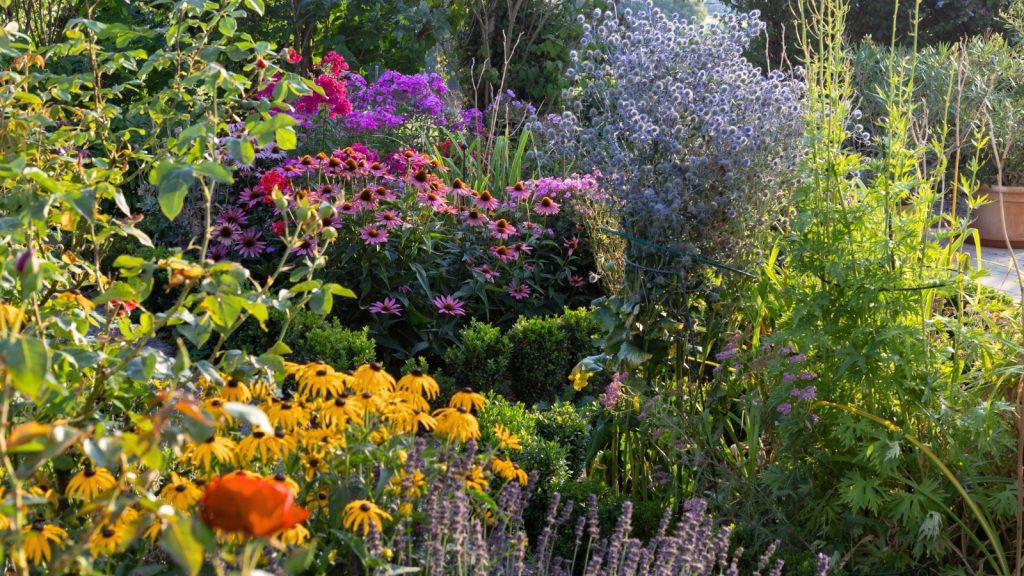 9 Simple and Stunning Combos for Height Layering in the Garden