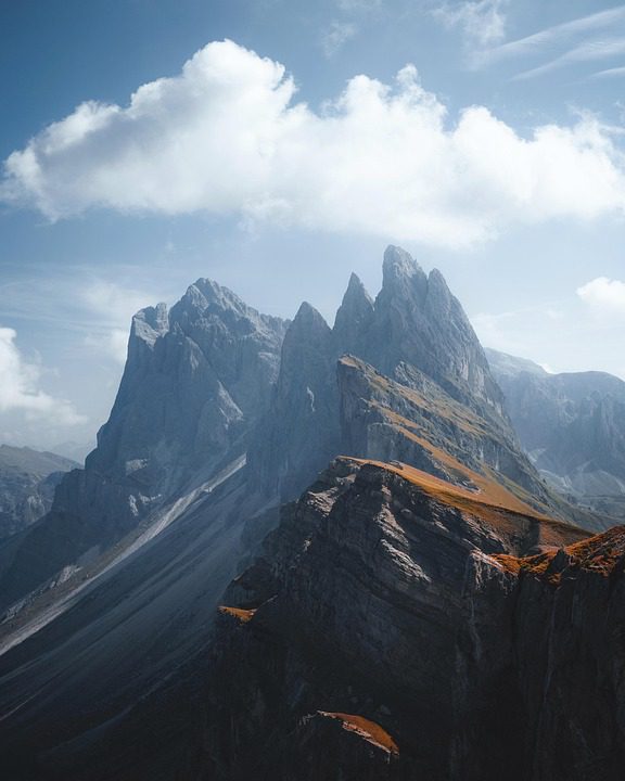 Beneath the Timber’s Whisper