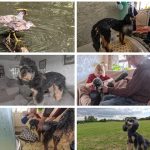 September in pictures