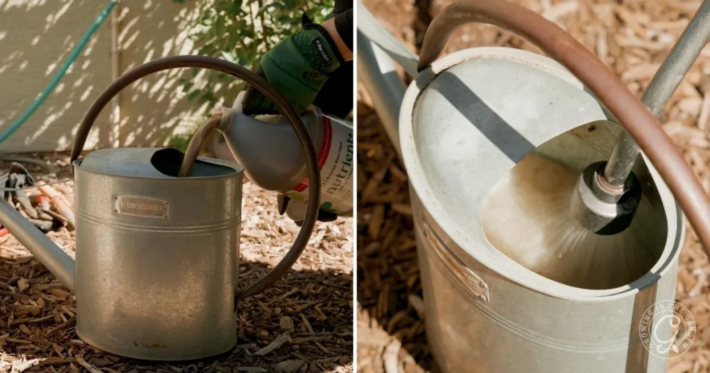 left: pouring liquid into a metal watering can—learn how to use nutrient+; right: filling the can with water from a hose.