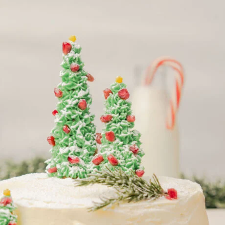 christmas cake recipe