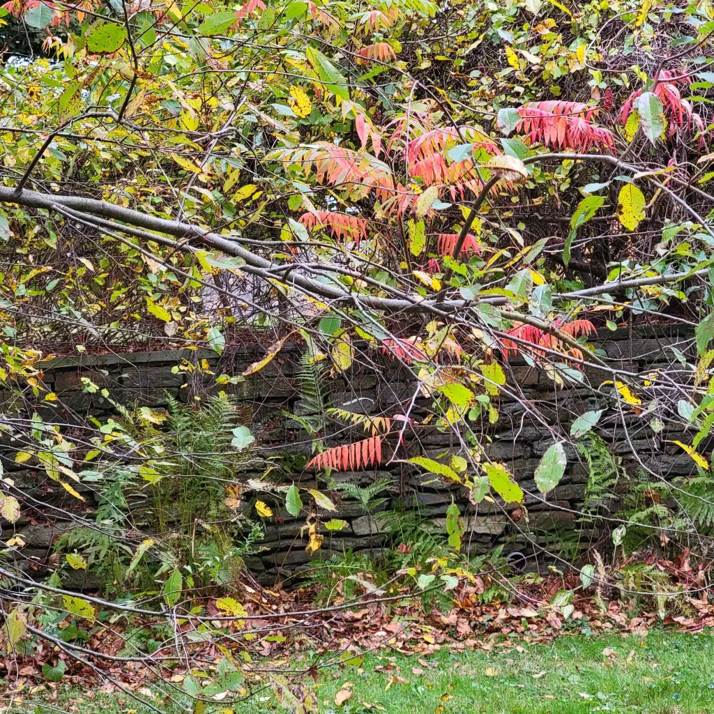 nature is taking over gardendaze 2 taking over gardendaze