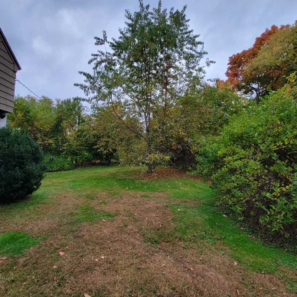 nature is taking over gardendaze 3 taking over gardendaze