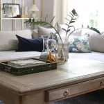 the best accessories for coffee table decor