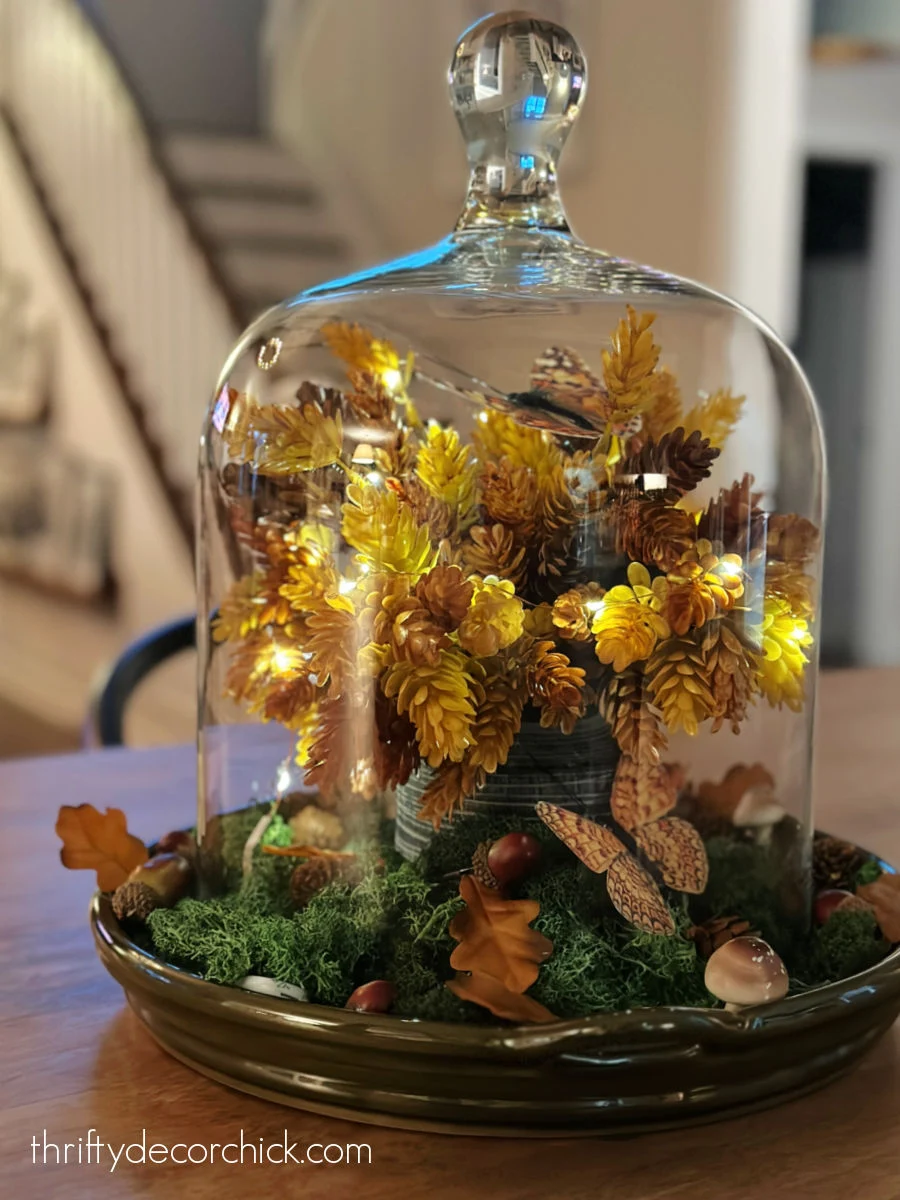 using decorative trays for easy, pretty fall vignettes thrifty decor chick 4 fall decor display under glass