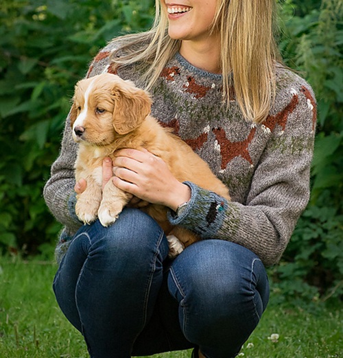 7 dog-printed sweater free knitting patterns bright stuffs 2 sweater free knitting