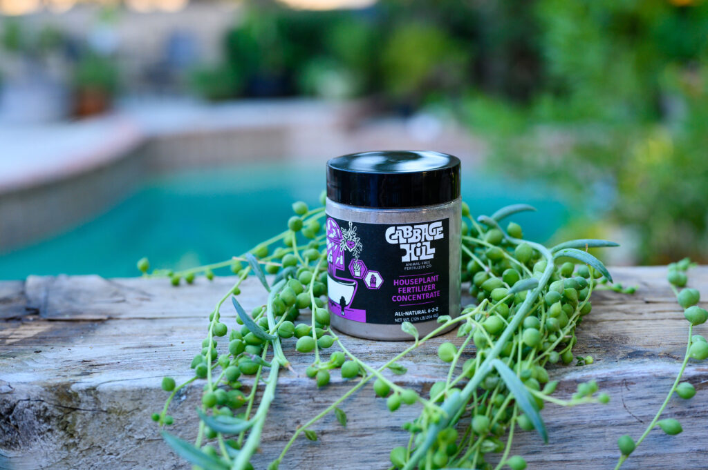 cabbage hill soluble