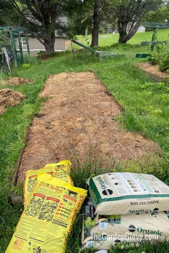 garden bed and soil amendments