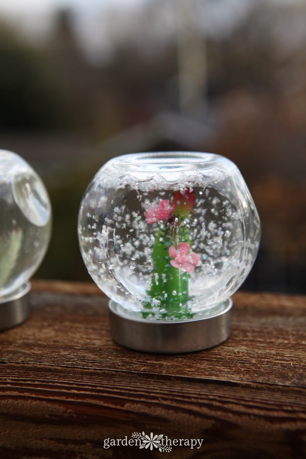 succulent snow globes are the perfect decorations for plant lovers. make these diy decorations from easy-to-find materials and enjoy the garden all year.