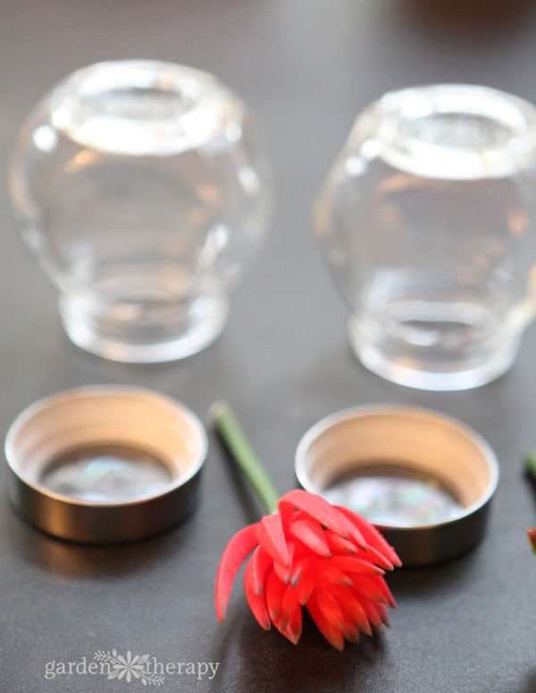 succulent snow globes are the perfect decorations for plant lovers. make these diy decorations from easy-to-find materials and enjoy the garden all year.