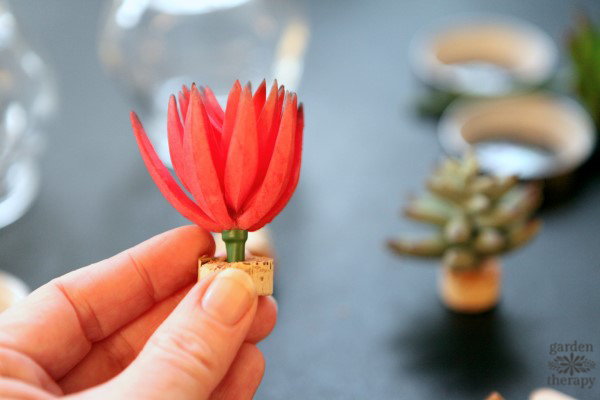 succulent snow globes are the perfect decorations for plant lovers. make these diy decorations from easy-to-find materials and enjoy the garden all year.