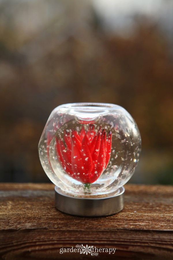 succulent snow globes are the perfect decorations for plant lovers. make these diy decorations from easy-to-find materials and enjoy the garden all year.
