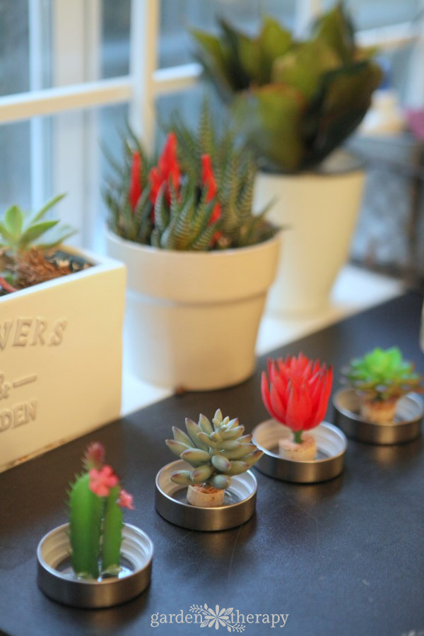 succulent snow globes are the perfect decorations for plant lovers. make these diy decorations from easy-to-find materials and enjoy the garden all year.