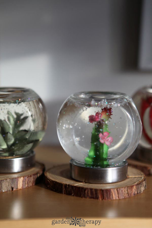 succulent snow globes are the perfect decorations for plant lovers. make these diy decorations from easy-to-find materials and enjoy the garden all year.