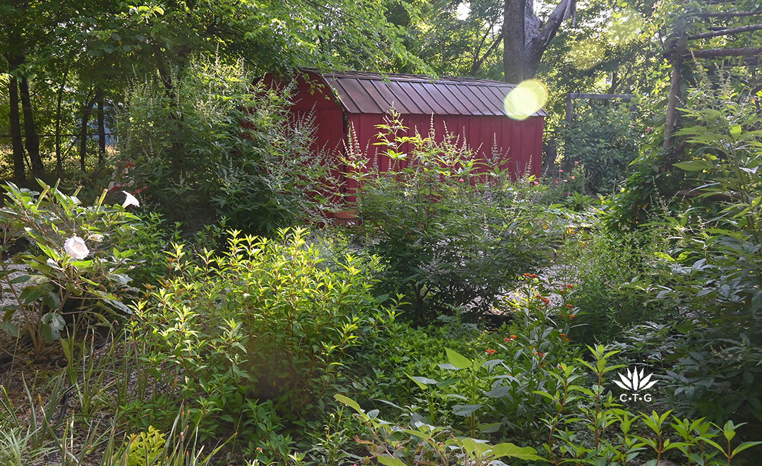 30 seasons and countless memories 11 island garden bed filled with perennials of different kinds