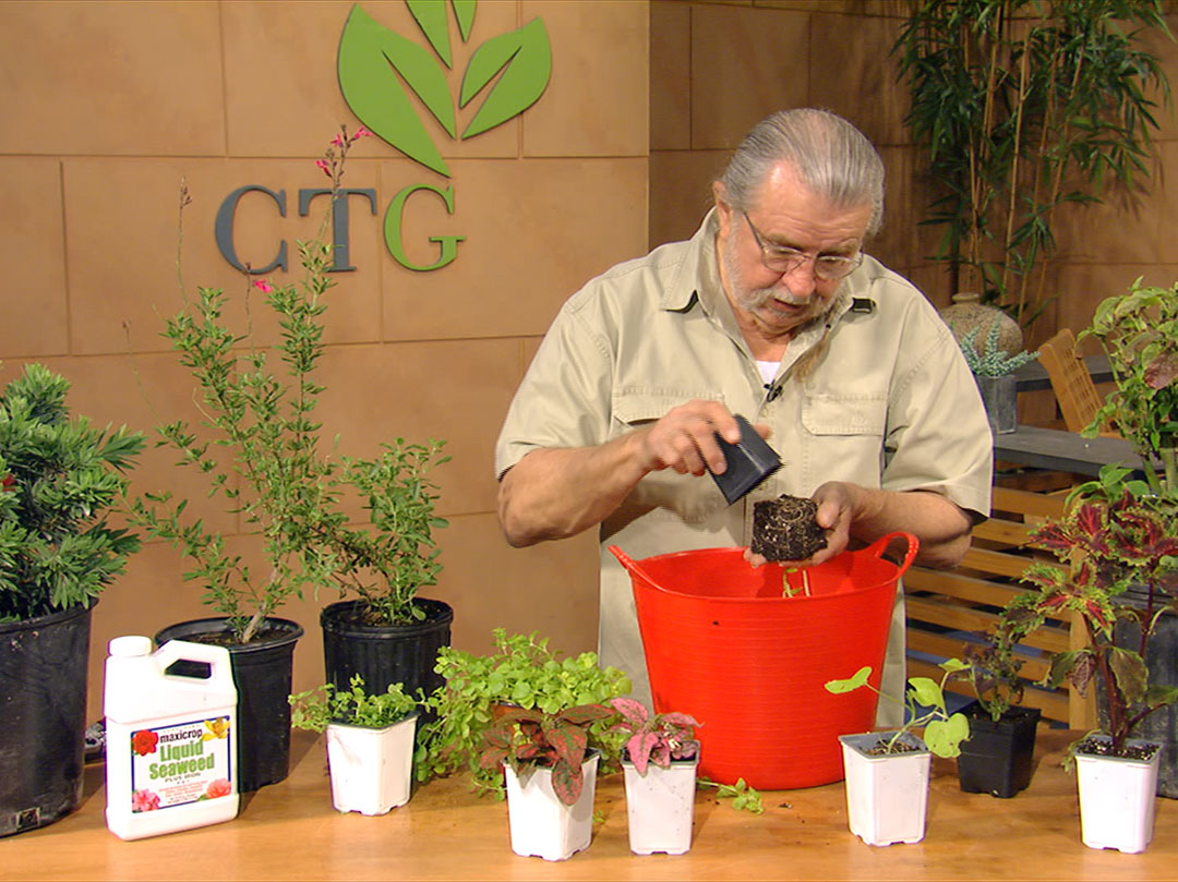 30 seasons and countless memories 24 seasons and countless