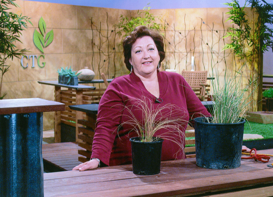 30 seasons and countless memories 26 seasons and countless