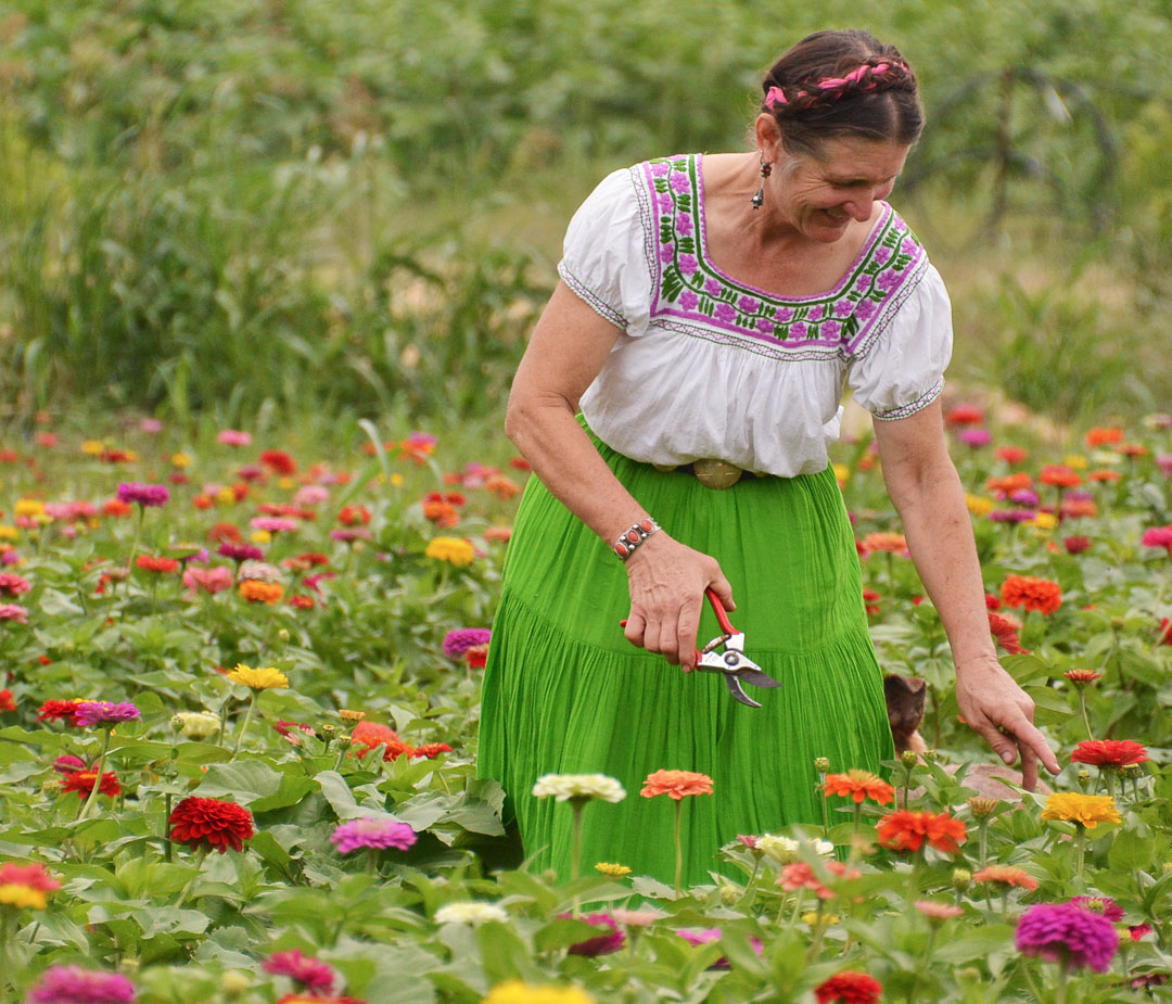30 seasons and countless memories 19 woman picking zinnias in field of flowers