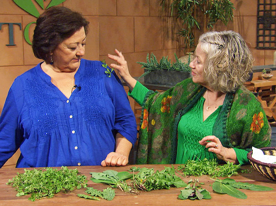 30 seasons and countless memories 27 seasons and countless