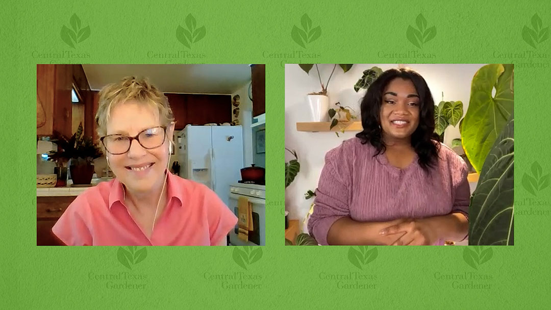 30 seasons and countless memories 37 seasons and countless