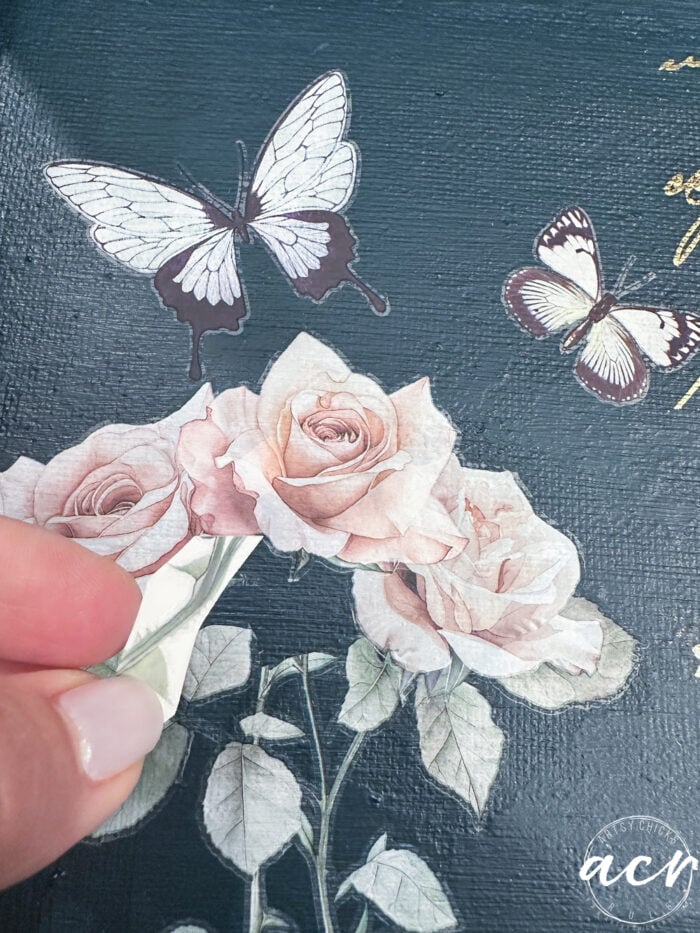 applying a stem under rose