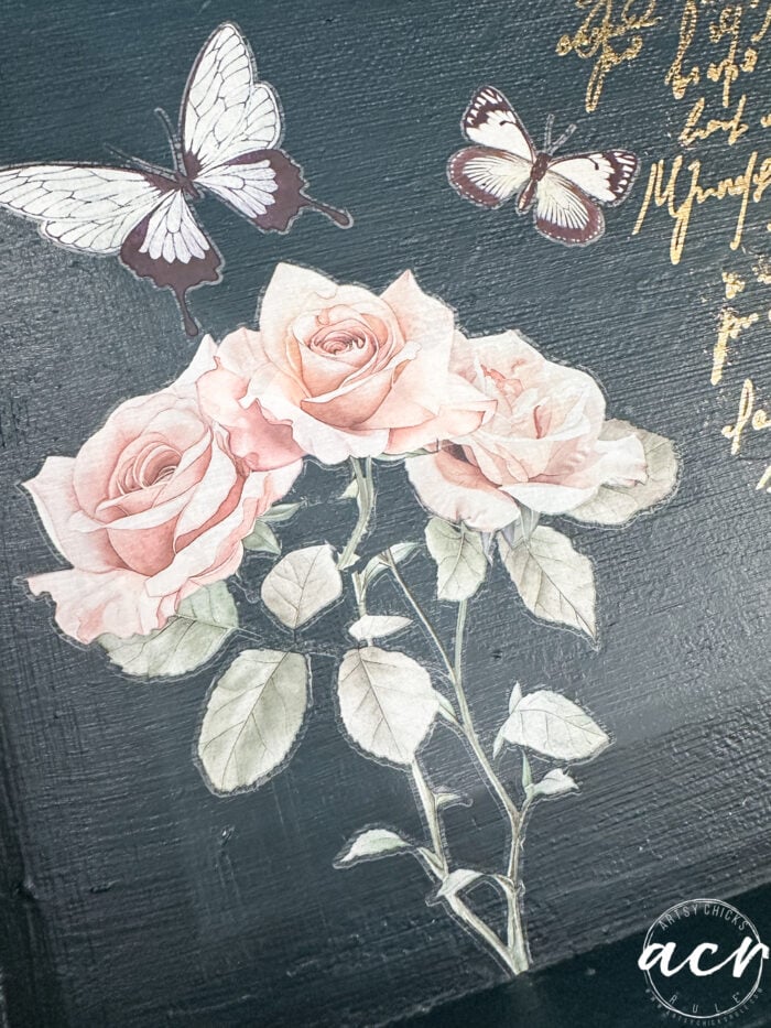 rose and stems inside box