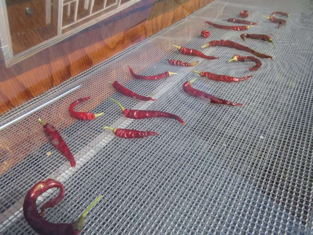 wordless wednesday closing