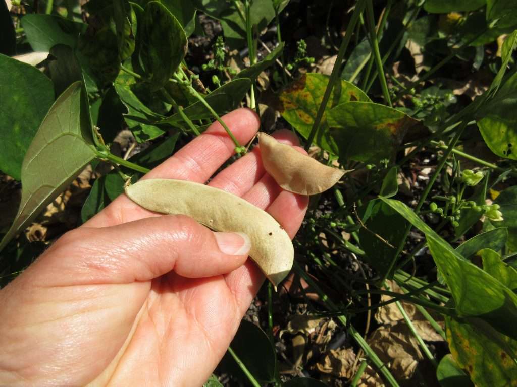 wordless wednesday closing