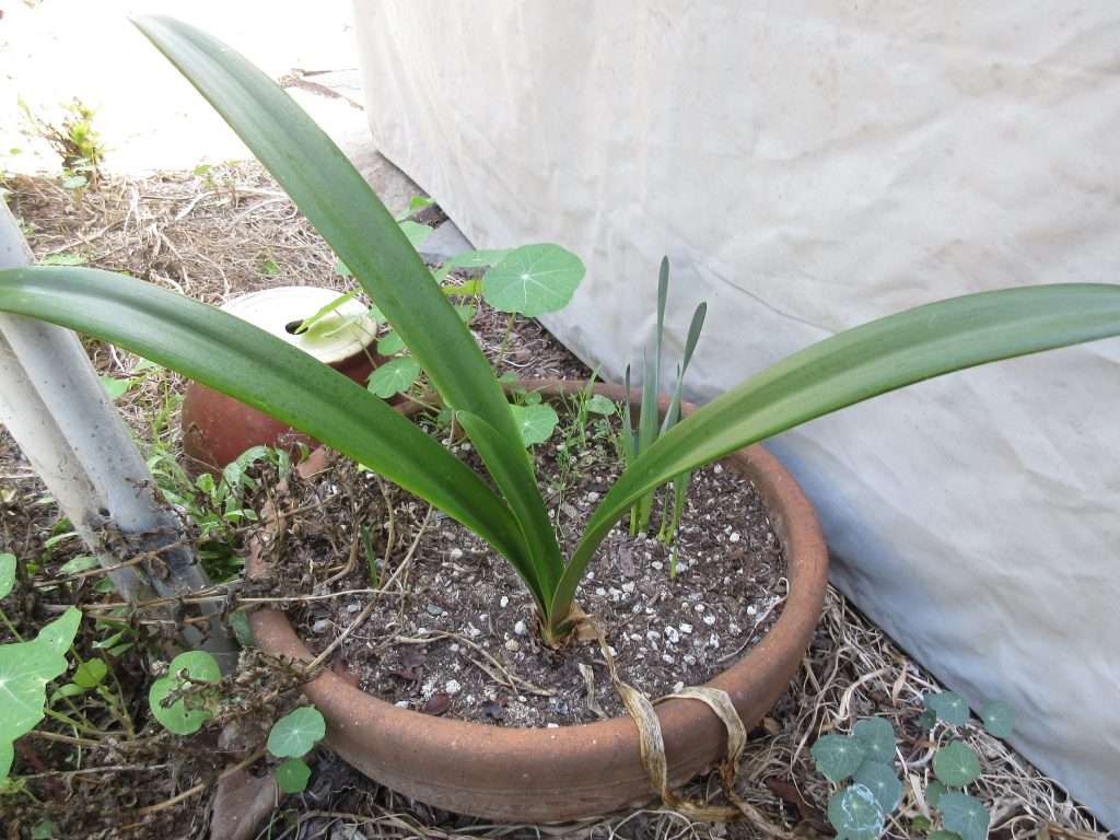 wordless wednesday closing