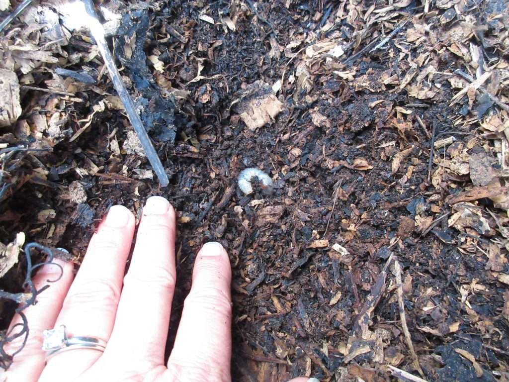 wordless wednesday closing