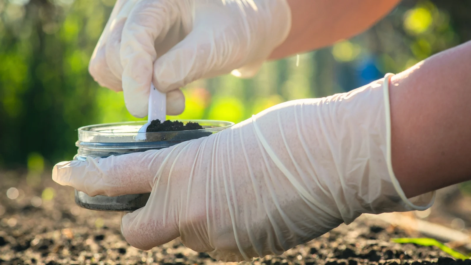 hands in white gloves scoop dark, crumbly soil into a clear glass jar for testing.
