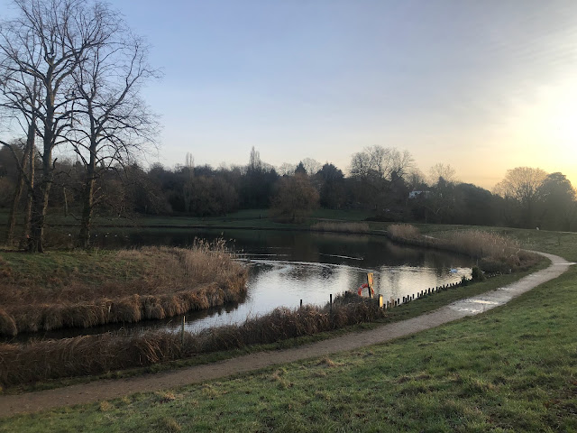 hampstead heath pond path around a pond filled with reeds