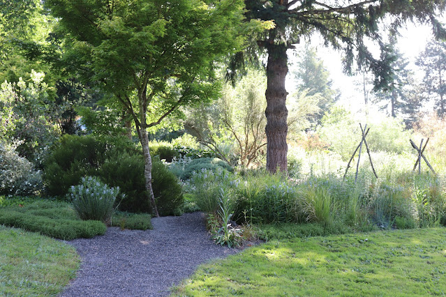 early june chickadee