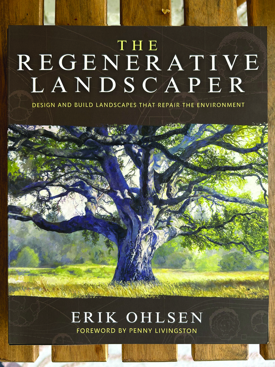 little driveway garden