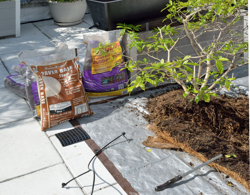 container gardening repotting supplies