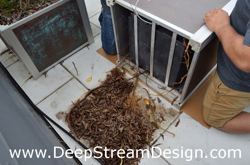 remove roots growing over the sides of the planter liner if the liner won't slide out.