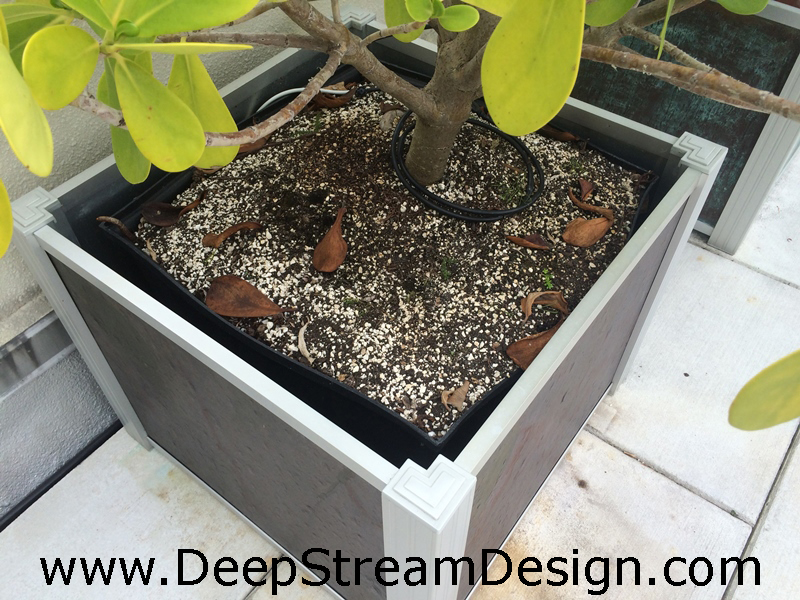 planter liner after root trimmed