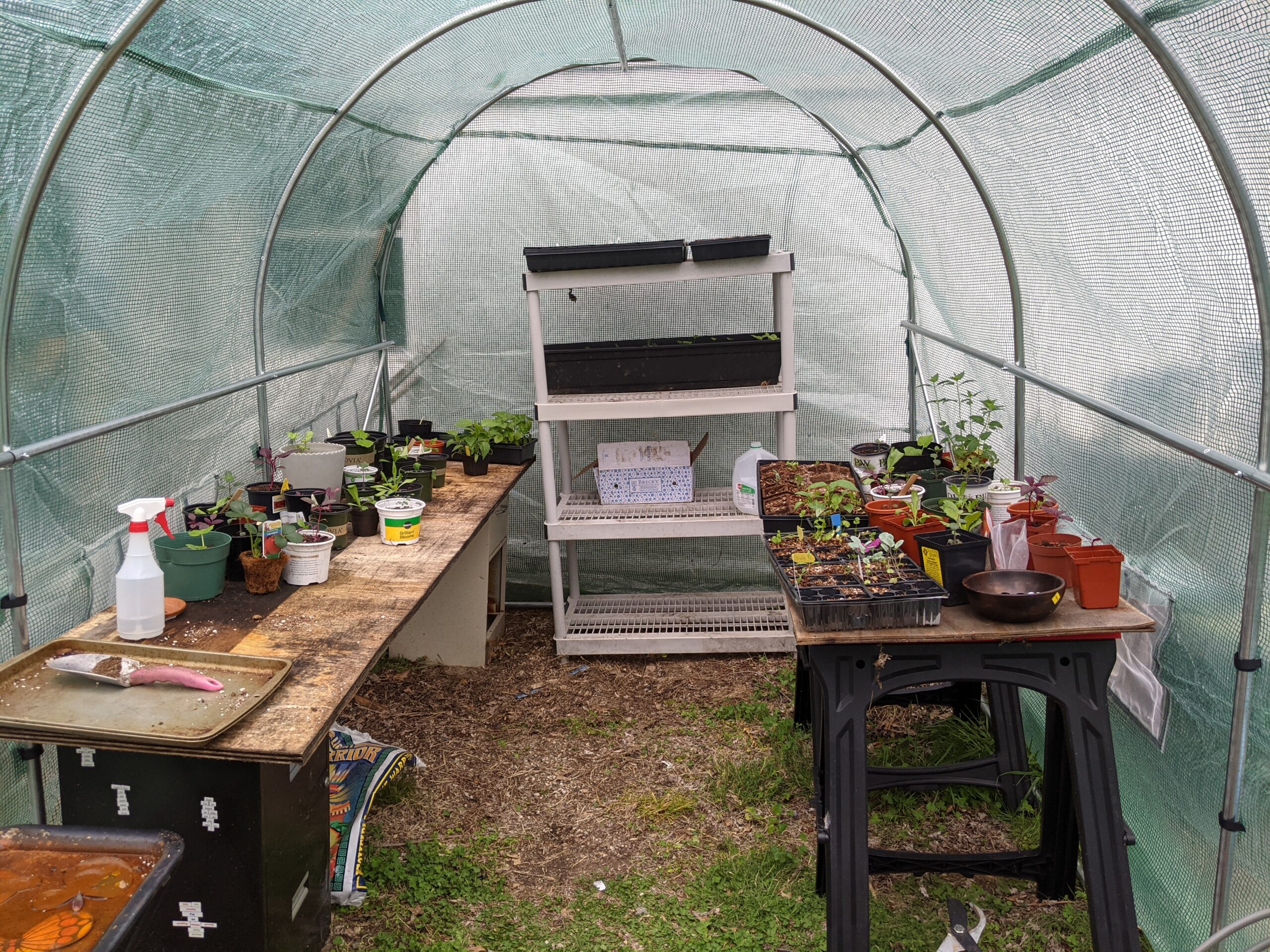 christine's three weddings bouquets a gpod takeover 2 weddings bouquets gpod