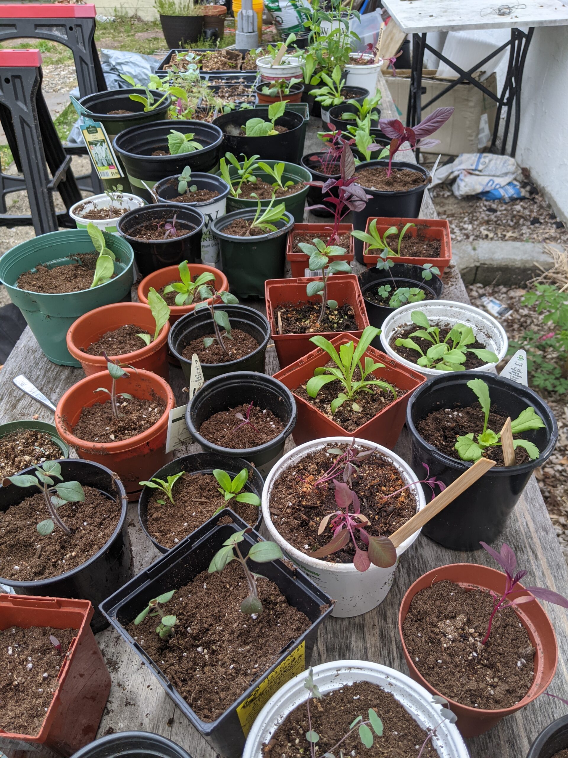 christine's three weddings bouquets a gpod takeover 3 weddings bouquets gpod