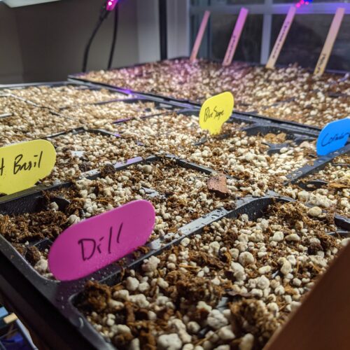 christine's three weddings bouquets a gpod takeover 1 weddings bouquets gpod